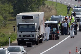 Các điều tra viên tại hiện trường chiếc xe chở người di cư trên quốc lộ A4. (Nguồn: THX/TTXVN)
