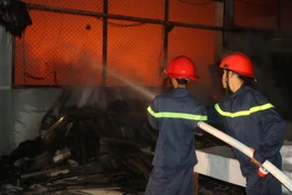 (Ảnh minh họa: Duy Hưng/TTXVN)