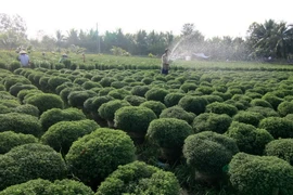 Người dân ĐBSCL giàu lên nhờ đồng thuận xây dựng nông thôn mới