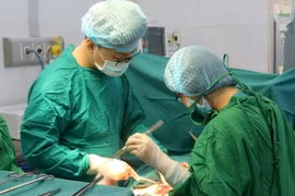 (Ảnh minh họa: Phương Vy/TTXVN)