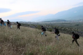 Cảnh sát Albania truy quét những kẻ buôn lậu ma túy. (Ảnh minh họa: AFP/TTXVN)