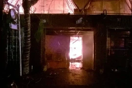 (Ảnh minh họa: Mạnh Tú/TTXVN)