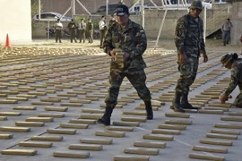 Cảnh sát Bolivia trưng bày số cần sa thu giữ ở Tarija. (Nguồn: AFP/TTXVN)