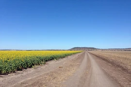 Một phần của khu vực mỏ Watermark thuộc đồng bằng Liverpool. (Nguồn: abc.net.au)