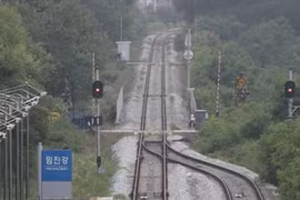 (Nguồn: The Korea Times) 