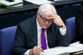 Ngoại trưởng Đức Frank Walter Steinmeier. (Nguồn: AFP/TTXVN)