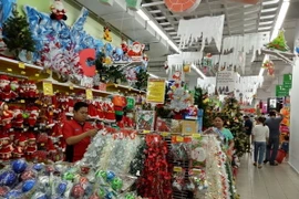 (Ảnh minh họa: Đỗ Phương Anh/TTXVN)