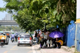 (Ảnh minh họa: Thành Đạt/TTXVN) 