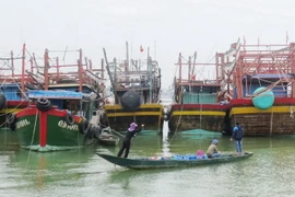 (Ảnh minh họa: Võ Dung/TTXVN) 