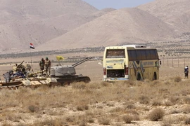 Xe chở các tay súng IS tại khu vực Qara thuộc vùng Qalamoun (Syria) ngày 28/8. (Nguồn: AFP/TTXVN)