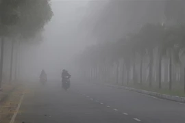 (Ảnh minh họa: Duy Khương/TTXVN) 