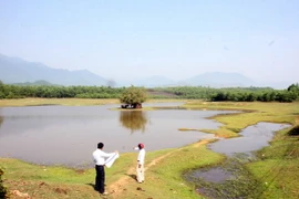 Nắng nóng mở rộng ra phía Nam Bắc Bộ, cao nhất là 38 độ C