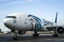 Một máy bay của Hãng hàng không Ai Cập EgyptAir tại sân bay quốc tế Cairo ngày 30/9/2015. (Nguồn: AFP/TTXVN)