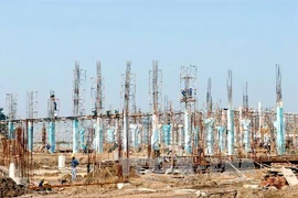 (Ảnh minh họa: Danh Lam/TTXVN)