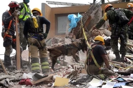 Lực lượng cứu hộ tìm kiếm người mất tích sau trận động đất ở Mexico City, Mexico ngày 25/9/2017. (Nguồn: THX/TTXVN)