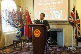 Đại sứ Việt Nam tại Vương quốc Anh Trần Ngọc An phát biểu tại Tết cộng đồng. (Ảnh: Tuấn Anh/Vietnam+)