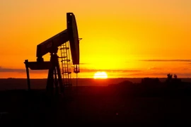 Giếng dầu tại Tioga, Bắc Dakota, Mỹ. (Nguồn: AFP/TTXVN)