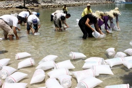 Trà Vinh thả 4,6 triệu con tôm giống để tái tạo nguồn lợi thủy sản