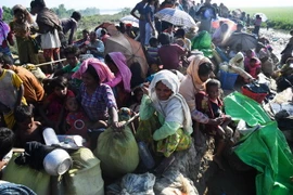 Người Rohingya tới Palongkhali, Bangladesh ngày 3/11 sau khi rời bỏ nhà cửa tránh xung đột ở Myanmar. (Nguồn: AFP/TTXVN)