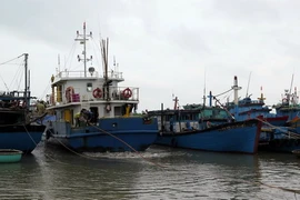 (Ảnh minh họa: Trần Tĩnh/TTXVN)