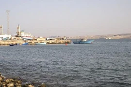 Ảnh minh họa. (Nguồn: Wikipedia)