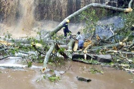 (Nguồn: citifmonline.com)