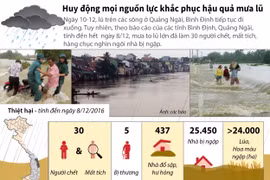 [Infographics] Hàng chục nghìn ngôi nhà bị ngập trong mưa lũ
