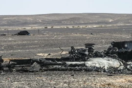 Mảnh vỡ máy bay A321 tại hiện trường sự cố ở Wadi al-Zolomat, Ai Cập ngày 1/11. (Nguồn: AFP/TTXVN)