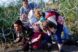 Người di cư vượt qua hàng rào dây thép gai gần Roszke, giáp giới Serbia ngày 27/8. (Nguồn: AFP/TTXVN)