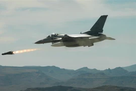 Máy bay F-16. (Nguồn: AFP/TTXVN) 