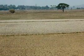 Bình Định thiếu nước sản xuất, sinh hoạt trên diện rộng