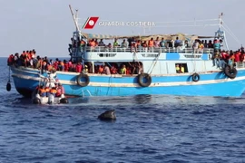 Lực lượng bảo vệ bờ biển Italy cứu vớt những người di cư trên biển Địa Trung Hải ngày 23/8. (Nguồn: AFP/TTXVN)