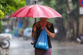 (Ảnh minh họa: Lê Minh Sơn/Vietnam+)