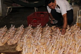 Kiểm tra an toàn vệ sinh thực phẩm tại cơ sở giết mổ gia cầm Thanh Hà, thị trấn Gò Dầu, huyện Gò Dầu. (Ảnh: Lê Đức Hoảnh/TTXVN)