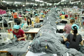 (Ảnh minh họa: Trần Việt/TTXVN)