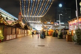 (Ảnh minh họa: Phạm Văn Thắng/TTXVN)