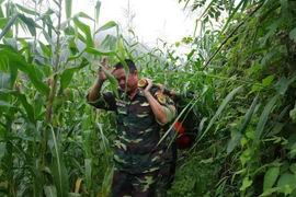 Bộ đội biên phòng Lào Cai đưa thi thể cụ bà Ma Thị Dính ra khỏi rừng. (Nguồn: TTXVN) 