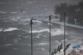 Sóng lớn ở cảng Victoria khi bão Hato quét qua Hong Kong ngày 23/8. (Nguồn: THX/TTXVN)