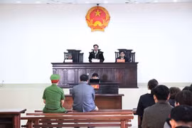 Ảnh minh họa. (Nguồn: detroitjournalism.org)