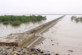 Siêu bão sẽ xuất hiện nhiều ở Biển Đông trong tương lai