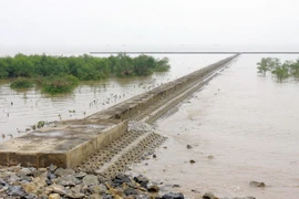 Siêu bão sẽ xuất hiện nhiều ở Biển Đông trong tương lai