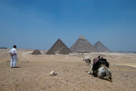 Cảnh sát Ai Cập tuần tra tại khu vực gần Kim tự tháp Giza. (Nguồn: THX/TTXVN)