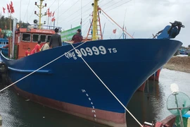 (Ảnh minh họa: Đinh Thị Hương/TTXVN)