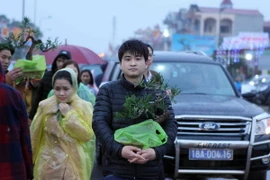 (Ảnh minh họa: Quốc Khánh/TTXVN)