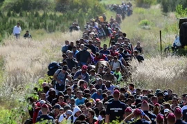 Người di cư tại khu vực biên giới Hungary-Croatia, gần làng Zakany của Hungary ngày 21/9. (Nguồn: AFP/TTXVN)