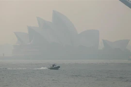 Khói mù ô nhiễm bao phủ dày đặc tại Sydney, Australia, ngày 21/11/2019. (Nguồn: THX/TTXVN) 