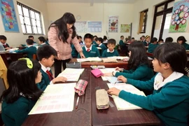 (Ảnh minh họa: Anh Tuấn/TTXVN)