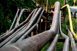 Ecuador giữ nguyên sản lượng dầu thô bất chấp giá sụt giảm