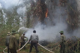 (Ảnh minh họa: Huỳnh Sử/TTXVN)