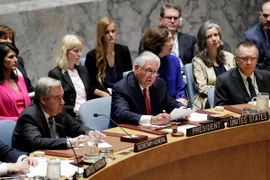 Ngoại trưởng Rex Tillerson (giữa) tại cuộc họp của Hội đồng Bảo an Liên hợp quốc ở New York, Mỹ ngày 28/4. (Nguồn: THX/TTXVN)